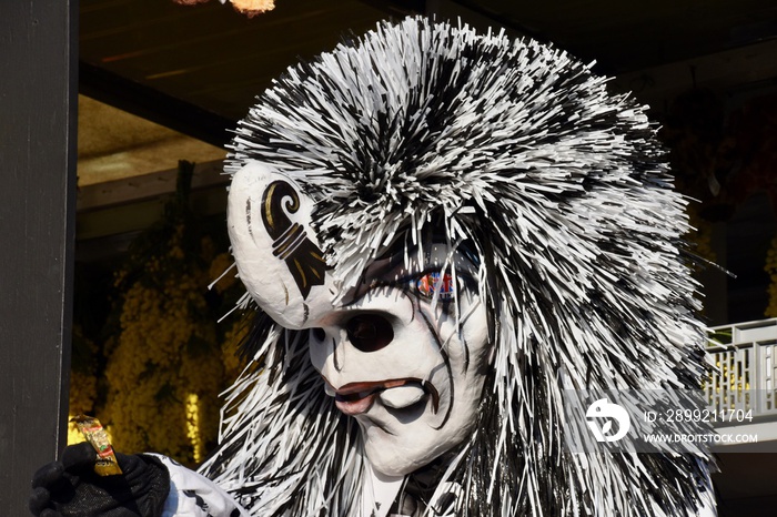 A colourful parade of carnival masks in the city of Basel, Switzerland, revives a centuries old tradition of masked and costumed performances.