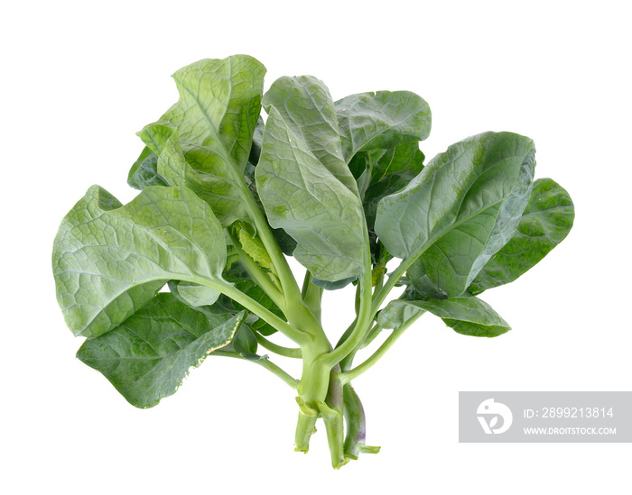 chinese kale on transparent png