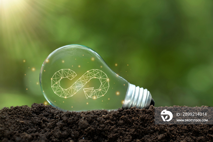 Circular economy concept.the circular economy icon in the light bulb.circular economy for future growth of business and design to reuse and renewable material resources. recycle, environment, reuse.