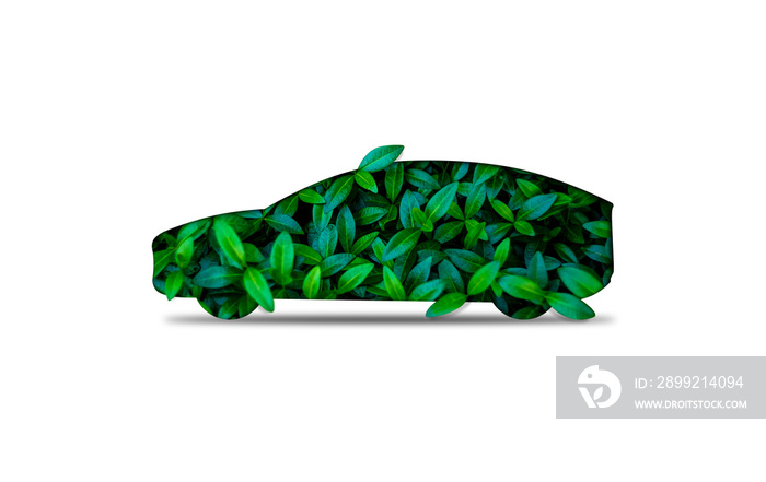 Silhouette of car out of green leaves on white back. eco car concept