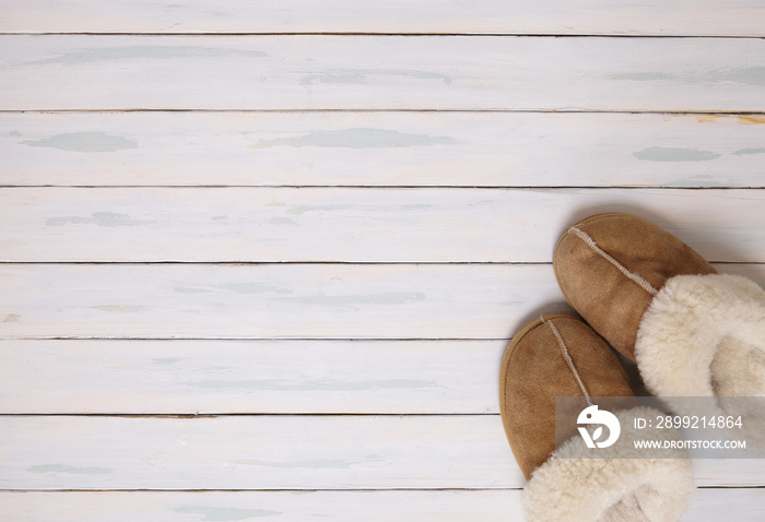 Sheepskin slippers