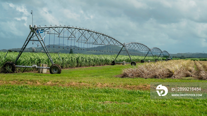 Irrigation For A Sugar Cane Crop