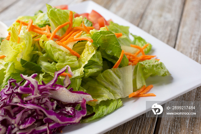 A view of a garden salad plate.