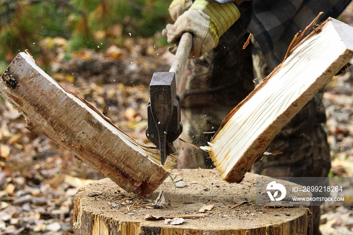 Task of splitting campfire wood while hunting