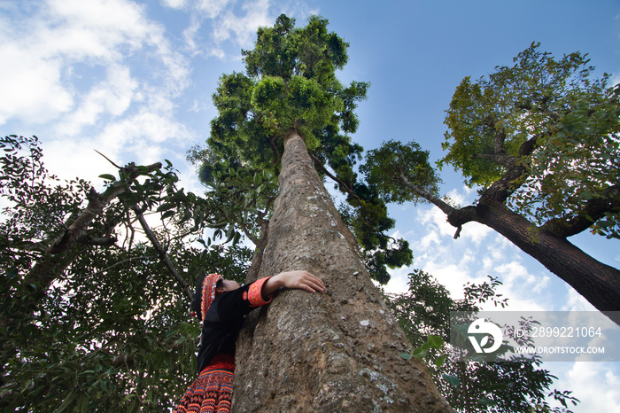 Volunteer woman in hill tribe traditional costume hug a big tree, Metaphor Love nature, Tree, Earth day and Environment conservation