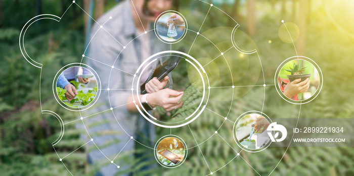 Various photos of Agriculture farmers using computer laptop device technology checking on plants and forest data analysis on plant growth visual icon, cultivating nature reserving environment.