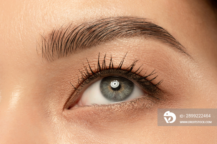 Beautiful young woman’s eye close-up shot. Female model with well-kept skin. Perfect skincare, human emotions, facial expression, beauty and cosmetics concept. Deep blue-gray color and eyebrows.