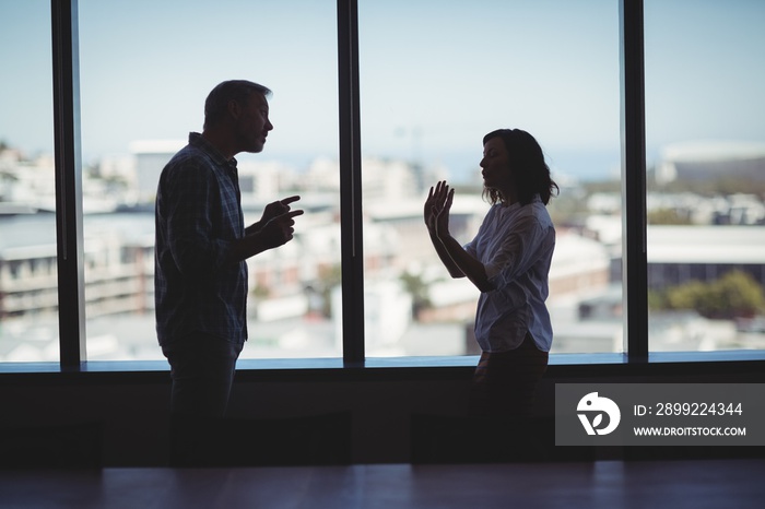 Business couple arguing near the window