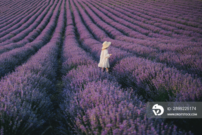 Happy girl in straw hat and white dress enjoying flower fragrance in lavender field.