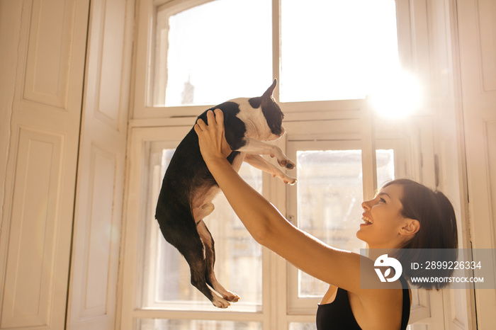 Positive young caucasian woman playing with bulldog on sunny day near window at home. Stylish girl with funny dog lifts it up in air. Love for pets, joy and tenderness