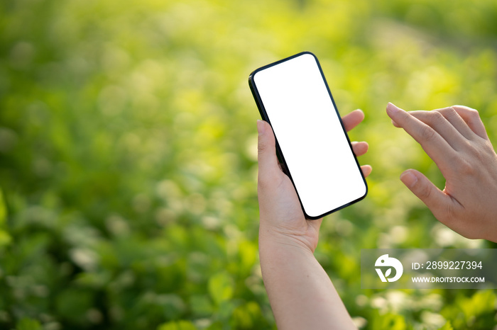 Mockup mobile phone blank white screen, hands holding smartphone empty display use for application information and advertise with organic vegetable farm background.