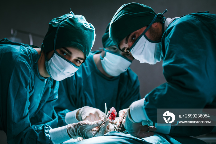 Surgery Team Performing by Medical Specialty in a Surgical Room at Hospital