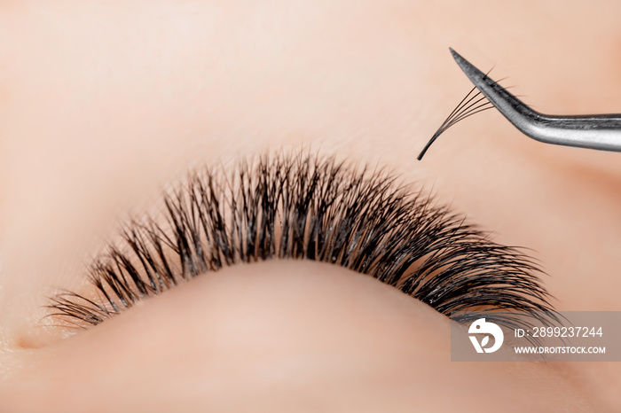 Process Eyelash extension procedure top view. Master tweezers fake 5d lashes beautiful woman eyes