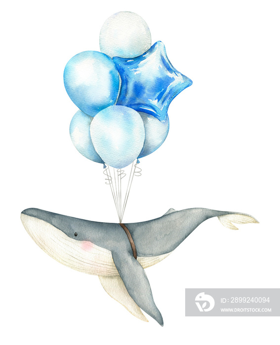 Cute whale flying with balloons. Hand painted watercolor design isolated on white background. Cartoon kid character. For posters, prints, cards, background