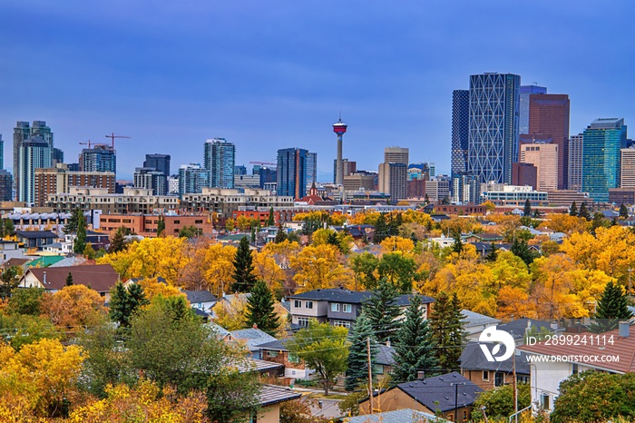 Autumn In The City Of Calgary