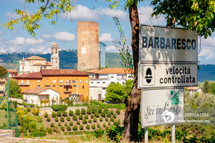 Barbaresco village and vineyards, Unesco Site, Piedmont, Northern Italy