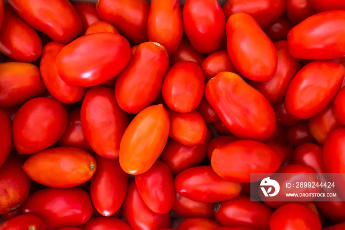 Delicious fresh raw Italian San Marzano tomatoes texture background.