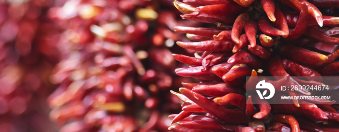 An Arrangement of Hanging Red Chili Peppers