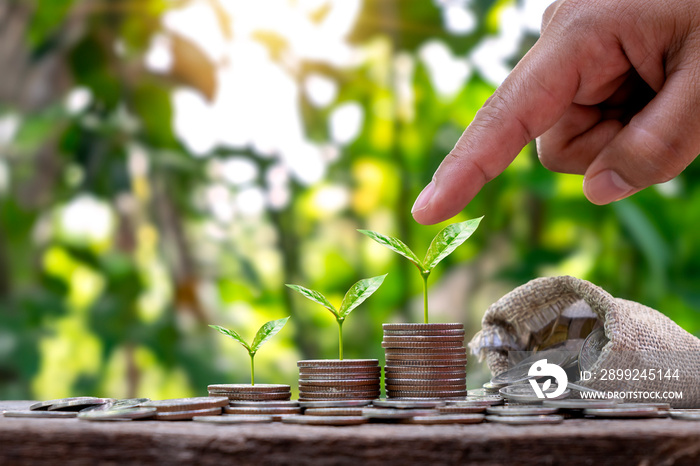 Planting a pile of money trees in sequence includes a woman’s hand pointing to a tree on coins, savings and environmental investment ideas.