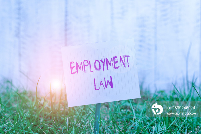 Text sign showing Employment Law. Business photo showcasing deals with legal rights and duties of employers and employees Plain empty paper attached to a stick and placed in the green grassy land