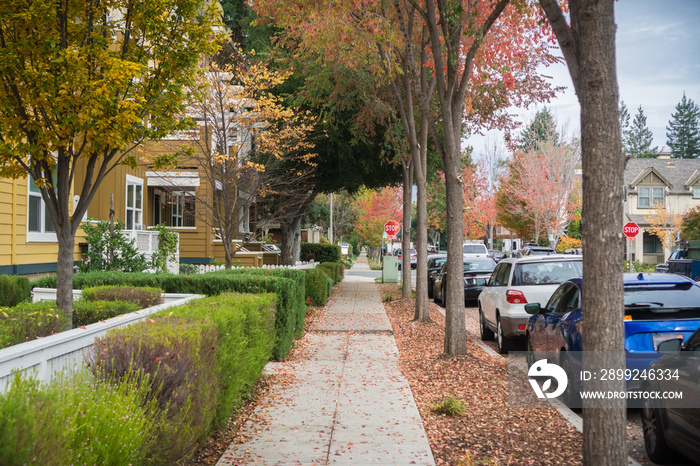 Walking through a residential neighborhood on a cloudy autumn day; colorful fallen leaves on the ground; Palo Alto, San Francisco bay area, California