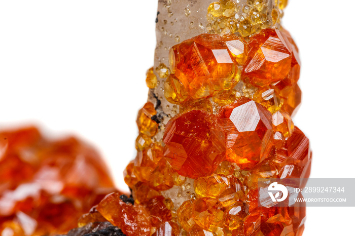 macro mineral stone Spessartine, orange, red garnet with quartz on white background