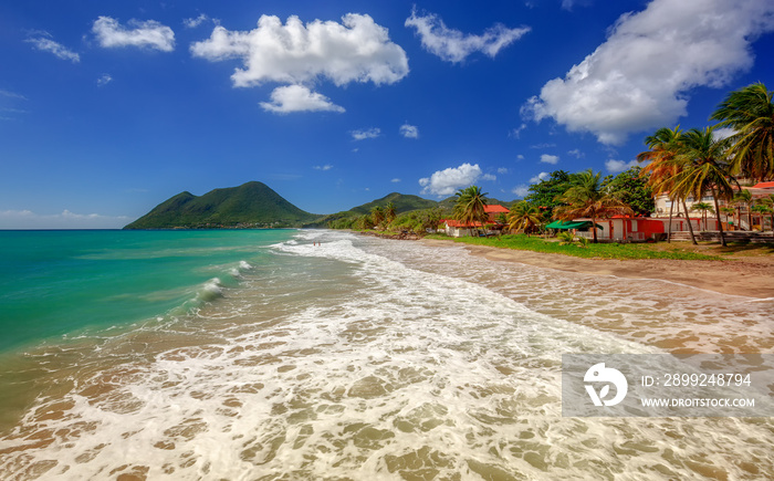 Amazing sandy beach with coconut palm tree and blue sky, Martinique, Caribbean. Le Diamant Beach.