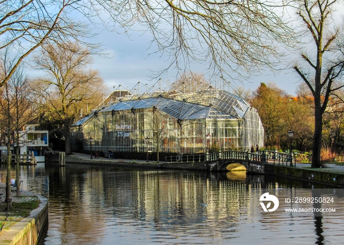 Hortus Botanicus, botanical garden in Amsterdam, Holland, Netherlands