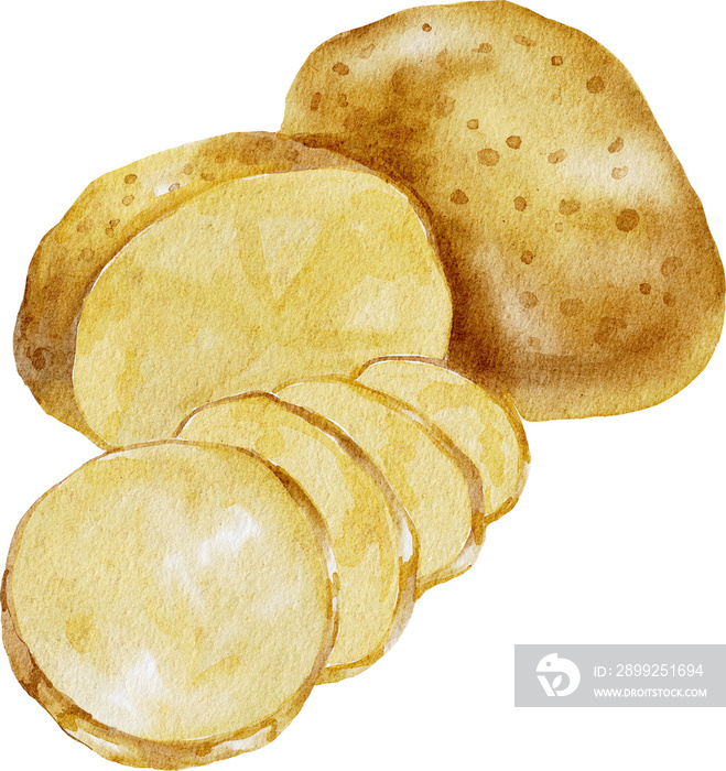 watercolor potato