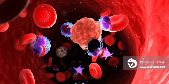 3d rendered medically accurate illustration of leucocytes attacking a cancer cell