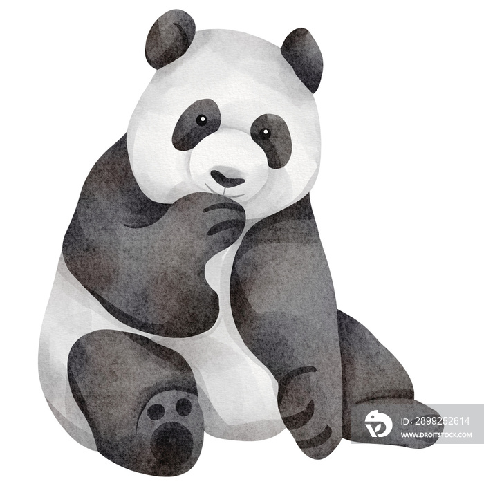 watercolor panda