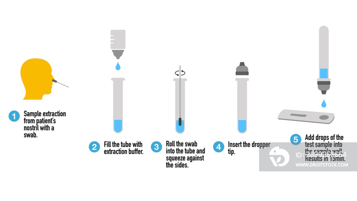 How rapid COVID-19 antigen tests work