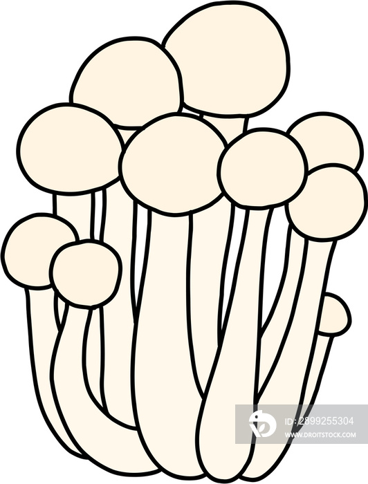 doodle freehand sketch drawing of beech mushroom vegetable.