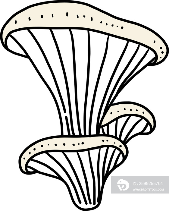 doodle freehand sketch drawing of oyster mushroom vegetable.