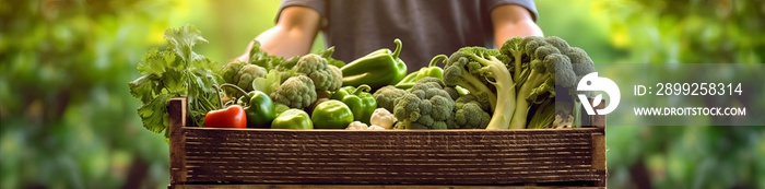 Hands holding wooden box with vegetables