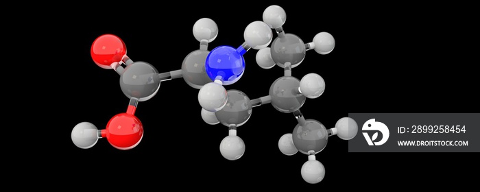 3d glass ball render leucine molecule structure