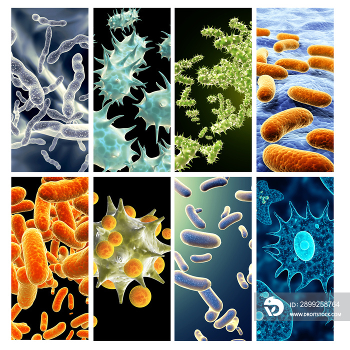 Set of vertical banners with pathogenic bacterias and viruses