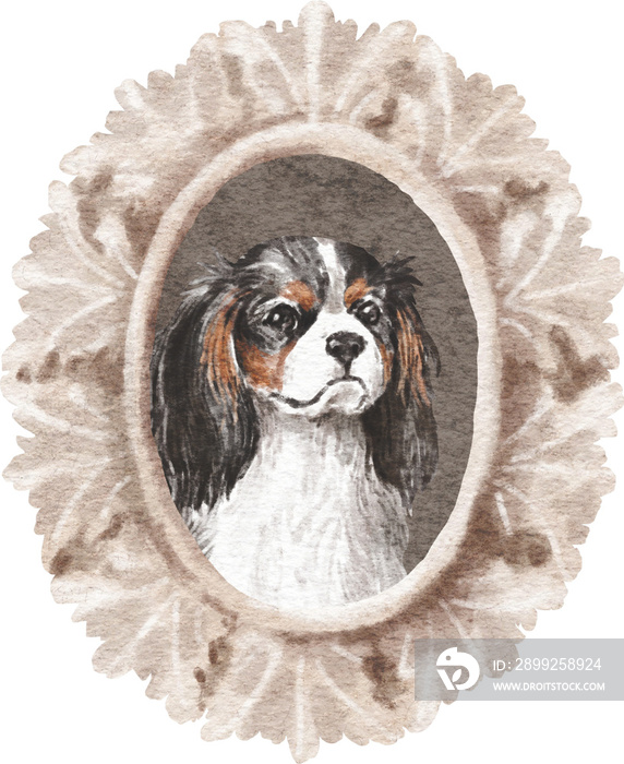 Cavalier dog portrait