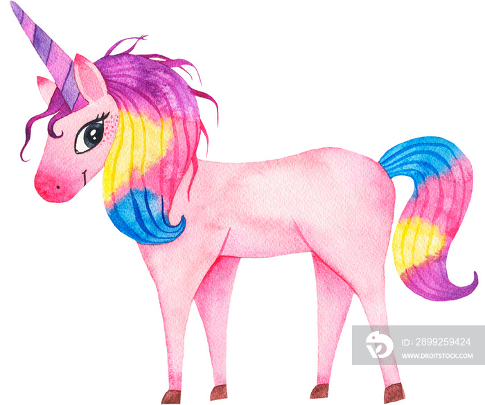 Watercolor unicorn magic animal illustration