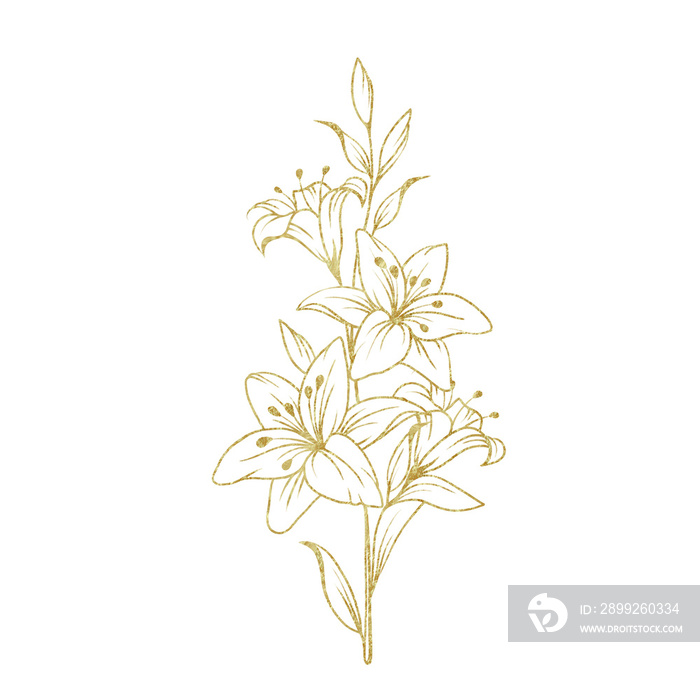 sketch of flowers and plants with transparent golden color lines, suitable for background design, borders, invitations, cards, templates, etc