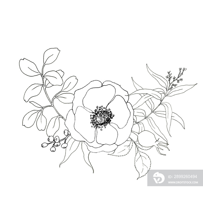 Sketch anemone and greenery bouquet. Hand painted flowers and berries with eucalyptus leaves and branch isolated on white background for design, print or fabric.