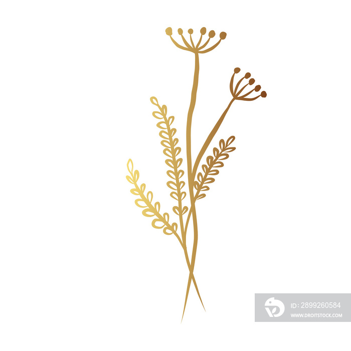 Gold flower line art