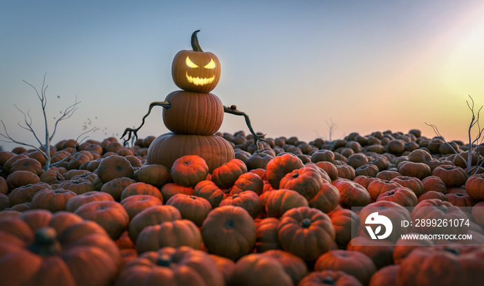 Kürbismann – Gruselige Halloween Figur auf Kürbisfeld