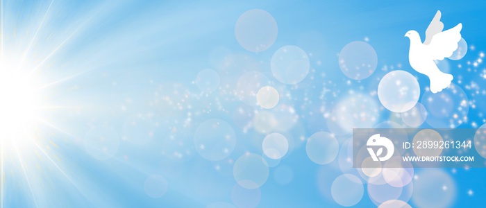 Web banner religioso azzurro cielo Paradiso. Colomba Bianca. Luce Croce Raggiante. Pentecoste. Annunciazione. Pasqua. Natale. Bokeh, stelle, sole. Raggio di luce magica