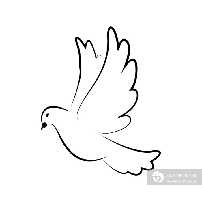 Flying pigeon. Symbol of world. Pigeon. Symbol of love, freedom. Dove.