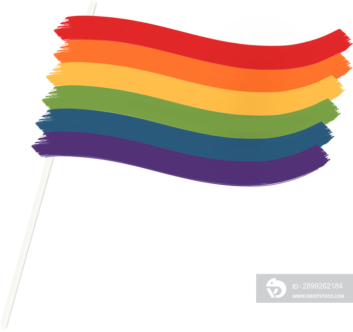 LGBTQIA+ flag