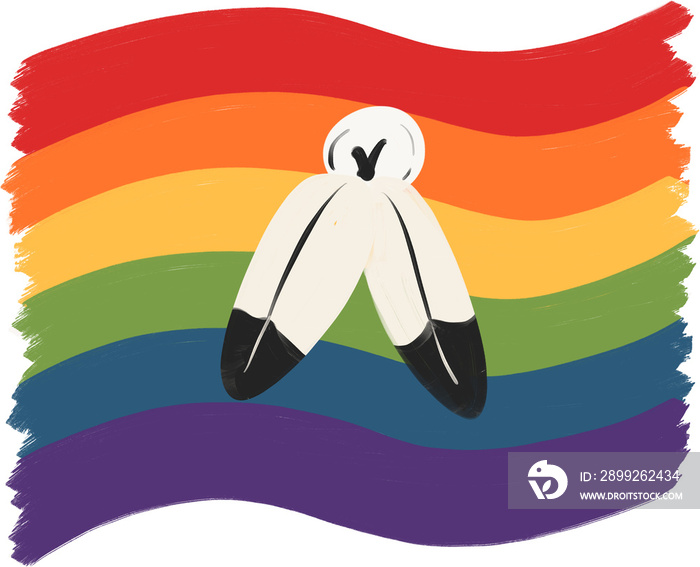 Two spirit pride flag