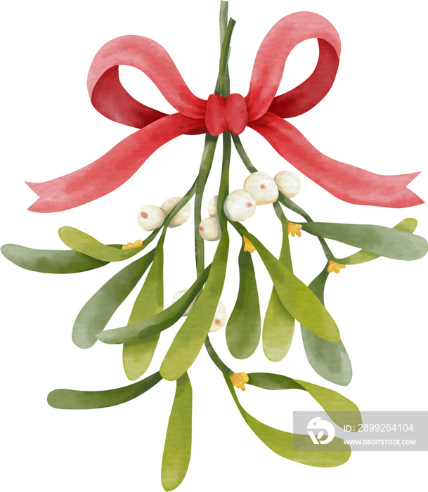 Christmas decoration with red bow and mistletoe branch