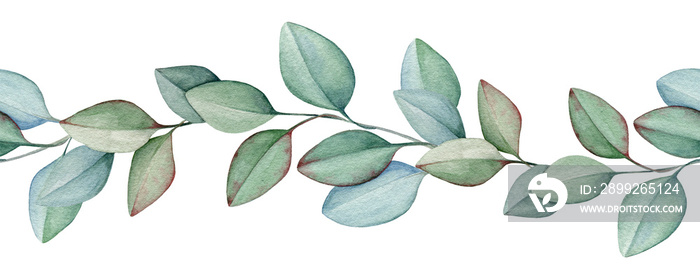 Seamless eucalyptus border watercolor illustration. Natural organic herb in elegant ornament. Hand drawn eucalyptus medical organic plant in elegant seamless border. Isolated on white background