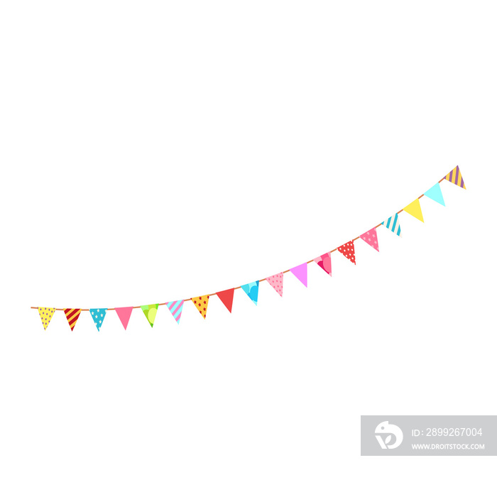 Happy birthday party, birthday party, colorful party flags, flat vector  and icons